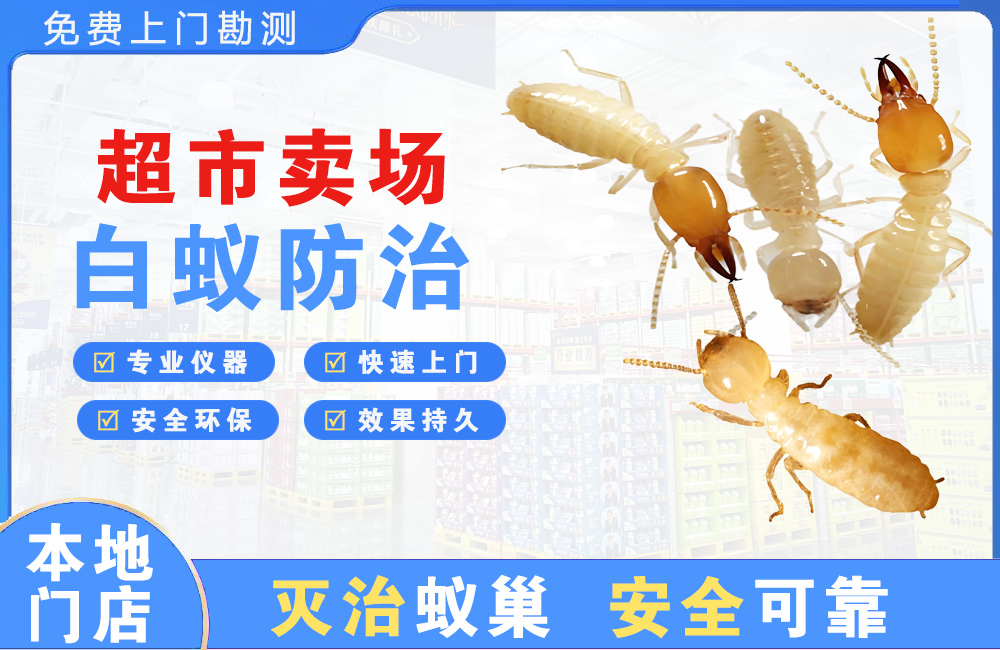 镇江超市卖场白蚁防治