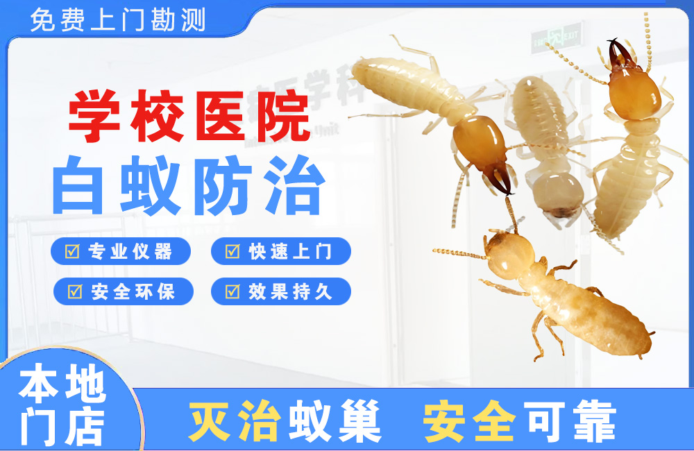 镇江学校医院白蚁防治